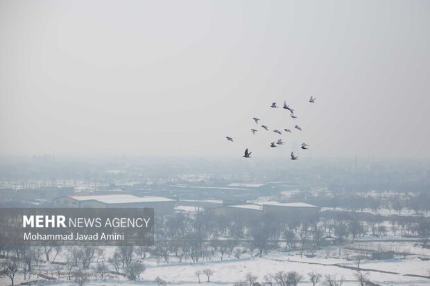 کلاف پیچیده آلودگی هوا در قزوین/ صنعت یا مردم مقصر چه کسی است؟