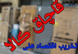 اجرای طرح مقابله با قاچاق در استان بوشهر