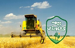 افزایش میزان غرامت و سقف پرداخت صندوق بیمه کشاورزی در لرستان