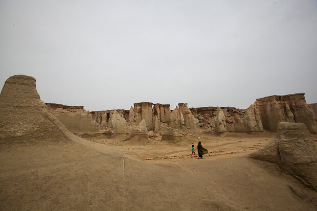 زیره قشم