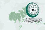 "التعاون الإسلامي" تدين قرار إسرائيل إعادة احتلال قطاع غزة بالكامل