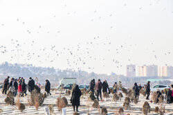 لیلةالرغائب در وادی رحمت تبریز