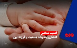 استانی که در شاخصه‌های فرزندخواهی جزو آخرین‌هاست/ آمارها اعلام‌خطر می‌کنند!