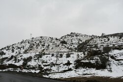 جاده های مازندران لغزنده است/ بارش ۱۰ تا ۳۰ سانتی برف در کندوان