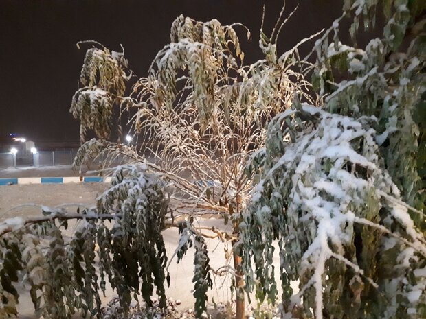 ثبت بارش برف در ۲۰ ایستگاه هواشناسی خاش