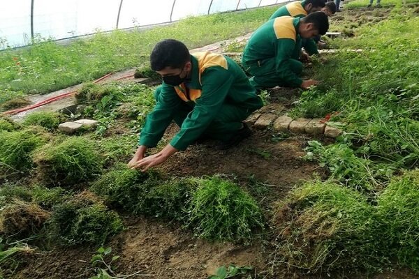 ترغیب دانش آموزان به تحصیل در هنرستان های کشاورزی 2