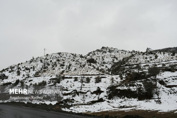 جاده های مازندران لغزنده است/ بارش ۱۰ تا ۳۰ سانتی برف در کندوان