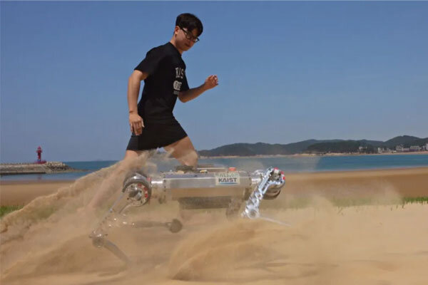سگ رباتیکی که روی شن ها راه می رود