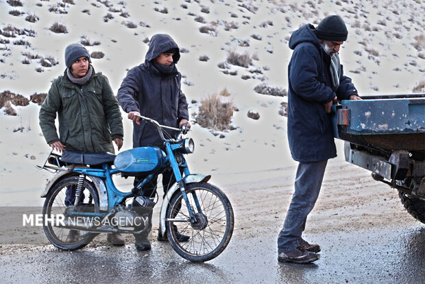 قتلهای ناموسی ریشه در فرهنگ یک جامعه دارد/ به دنبال تلنگر بودم