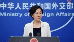 Beijing reacts to NATO chief remarks about China