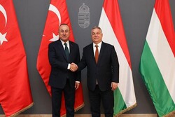 Çavuşoğlu, Macaristan Başbakanı Orban ile görüştü