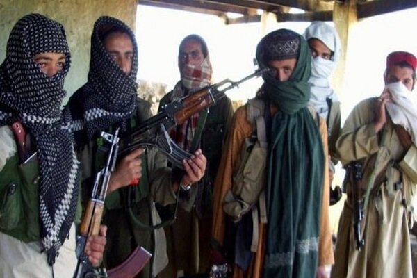 طالبان برای خلع سلاح جنبش طالبان پاکستان ازاسلام‌آبادپول می‌خواهد