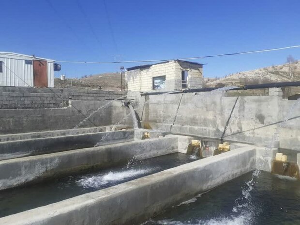 افتتاح مرکز پرورش ماهیان سردآبی در شهرستان چگنی