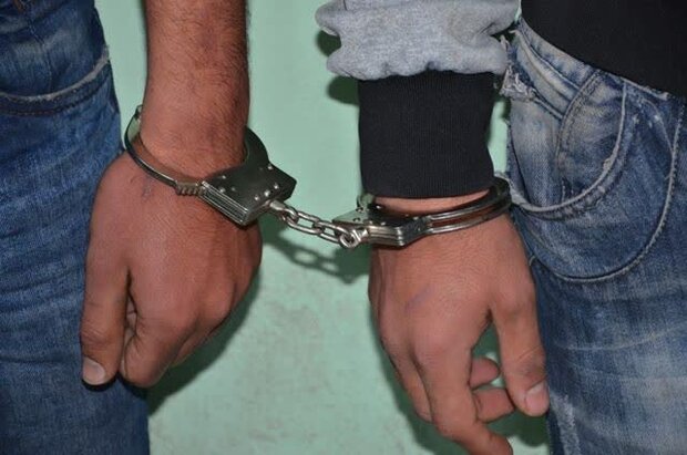 دستگیری یک نفر از اراذل واوباش سطح یک تهران درمنطقه مهرآباد رودهن