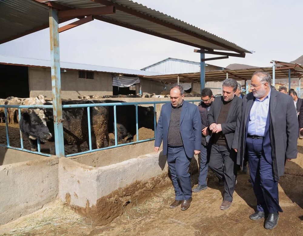 آوج در مسیر توسعه/ زمینههای گردشگری شهرستان تقویت شود