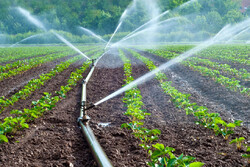 ۲۴۰۰ پروژه هفته کشاورزی در کشور افتتاح می شود