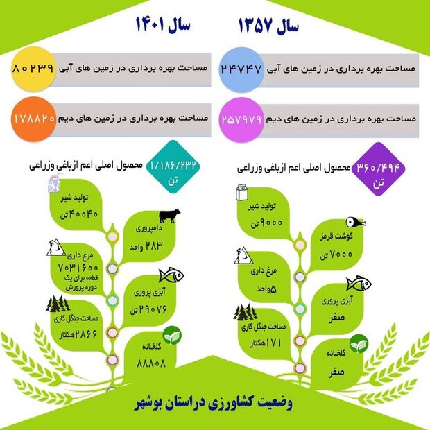 نگاهی به وضعیت کشاورزی در استان بوشهر