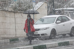تاکید مدیریت بحران بر آمادگی کامل شهرداری ها و بخشداری های تهران در برابر بارشها
