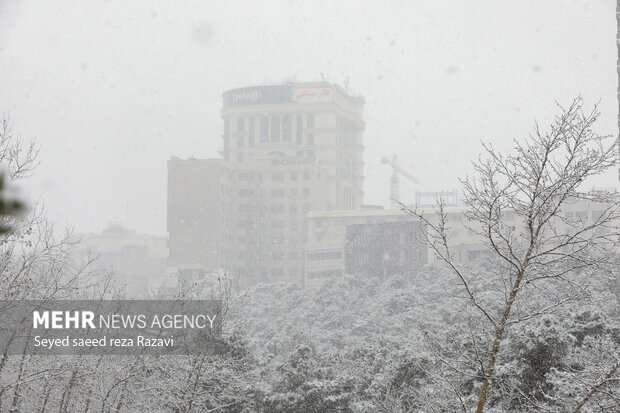 تہران میں برفباری
