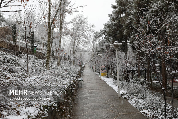 تہران میں برفباری

