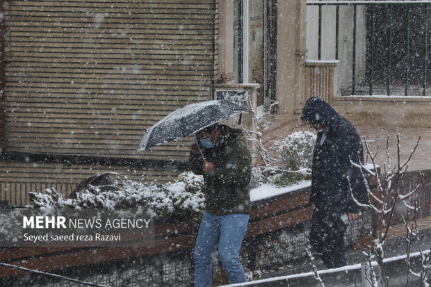 در پی سردی هوا در روزهای اخیر بارش برف از صبح امروز پنج شنبه ۲۰ بهمن ماه ۱۴۰۱ در تهران آغاز و موجب سفید پوش شدن برخی از مناطق پایتخت شد