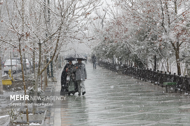 در پی سردی هوا در روزهای اخیر بارش برف از صبح امروز پنج شنبه ۲۰ بهمن ماه ۱۴۰۱ در تهران آغاز و موجب سفید پوش شدن برخی از مناطق پایتخت شد