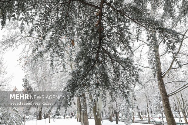 ادامه بارندگی در استان سمنان/ برودت هوا افزایش خواهد یافت