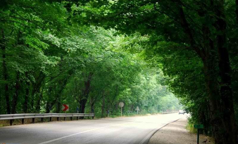 سِحر طبیعت در پارک ملی گلستان/ پردیس پرآوازه در انتظار گردشگر است
