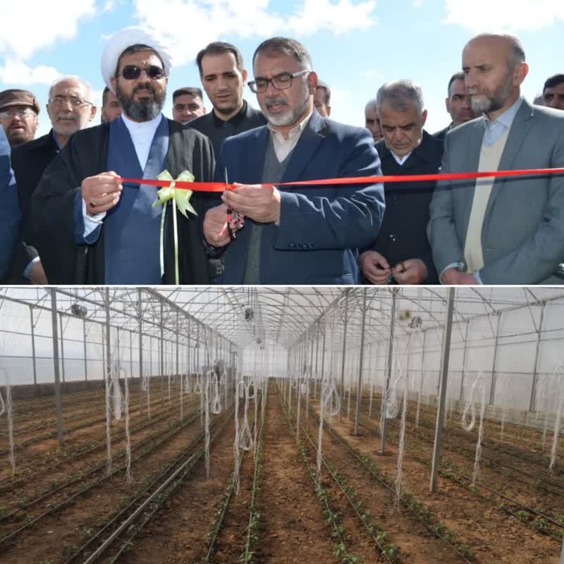 بهرهبرداری از یک گلخانه صنعتی در الیگودرز