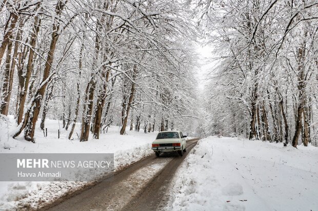 ۲نفر در برف ییلاقهای مهدیشهر مصدوم شدند/ ادامه امدادرسانیها ۲نفر در برف ییلاقهای مهدیشهر مصدوم شدند/ ادامه امدادرسانیها