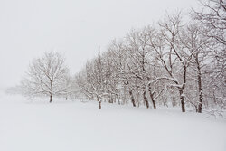 Eye-catching snowy day in Iranian valley