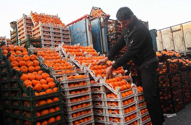 ورود بیش از  ۶۵۰ تن نارنگی پاکستانی