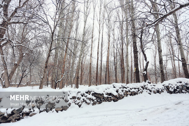 خوشحالی کشاورزان غرب تهران از بارش های اخیر برف و باران