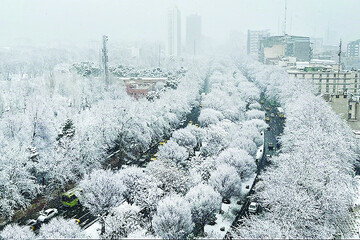Tehran clad in white