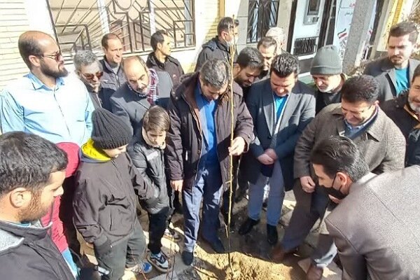 آغاز طرح مردمی کاشت یک میلیارد درخت در شهرستان رزن