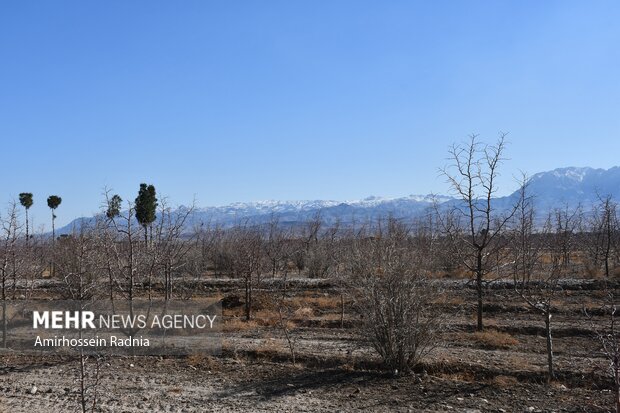 طبیعت زمستانی بیرجند