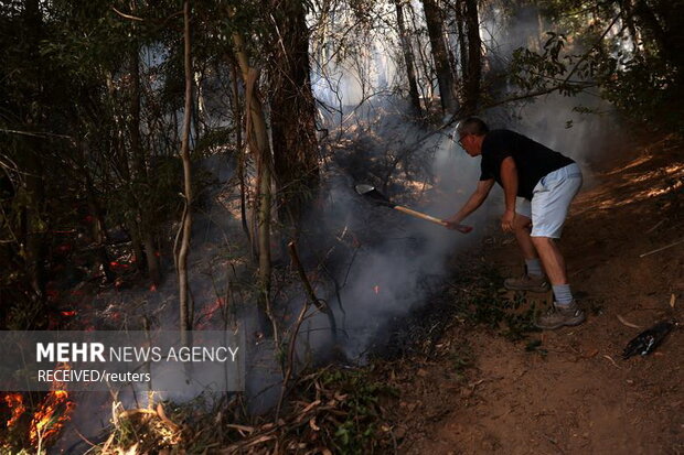 آتش‌سوزی‌ در جنگل‌های جنوب مرکزی شیلی، به صدها خانه آسیب زد و زیستگاه حیوانات جنگلی را نابود کرد