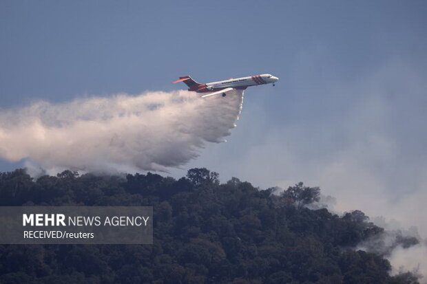 آتش‌سوزی‌ در جنگل‌های جنوب مرکزی شیلی، به صدها خانه آسیب زد و زیستگاه حیوانات جنگلی را نابود کرد
