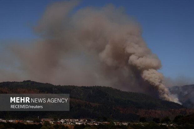 آتش‌سوزی‌ در جنگل‌های جنوب مرکزی شیلی، به صدها خانه آسیب زد و زیستگاه حیوانات جنگلی را نابود کرد