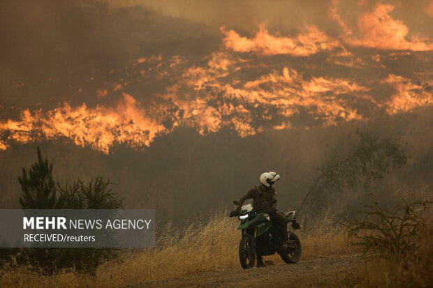 آتش‌سوزی‌ در جنگل‌های جنوب مرکزی شیلی، به صدها خانه آسیب زد و زیستگاه حیوانات جنگلی را نابود کرد
