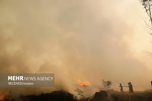 آتش‌سوزی‌ در جنگل‌های جنوب مرکزی شیلی، به صدها خانه آسیب زد و زیستگاه حیوانات جنگلی را نابود کرد
