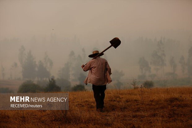 آتش‌سوزی‌ در جنگل‌های جنوب مرکزی شیلی، به صدها خانه آسیب زد و زیستگاه حیوانات جنگلی را نابود کرد