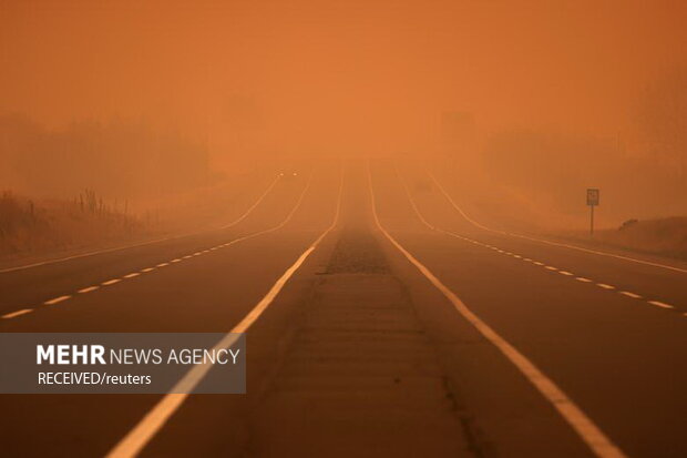آتش‌سوزی‌ در جنگل‌های جنوب مرکزی شیلی، به صدها خانه آسیب زد و زیستگاه حیوانات جنگلی را نابود کرد
