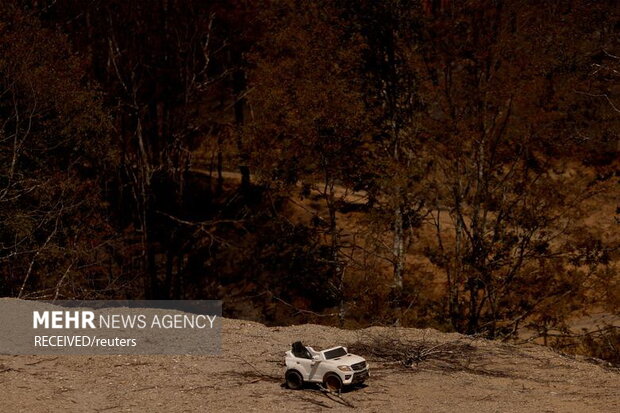 آتش‌سوزی‌ در جنگل‌های جنوب مرکزی شیلی، به صدها خانه آسیب زد و زیستگاه حیوانات جنگلی را نابود کرد