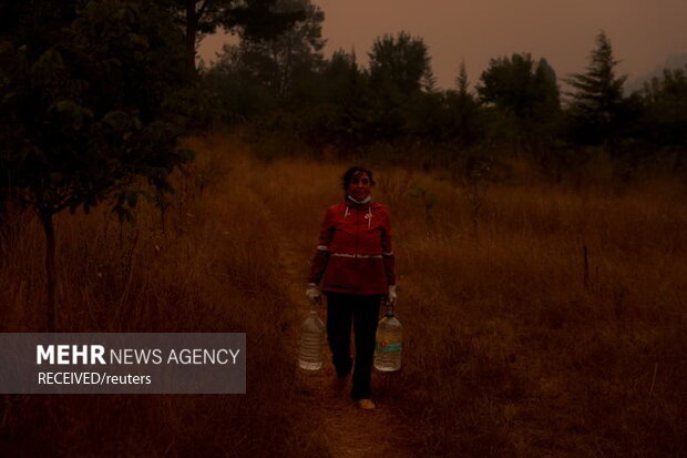 آتش‌سوزی‌ در جنگل‌های جنوب مرکزی شیلی، به صدها خانه آسیب زد و زیستگاه حیوانات جنگلی را نابود کرد