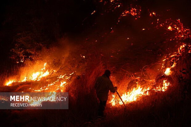 آتش‌سوزی‌ در جنگل‌های جنوب مرکزی شیلی، به صدها خانه آسیب زد و زیستگاه حیوانات جنگلی را نابود کرد