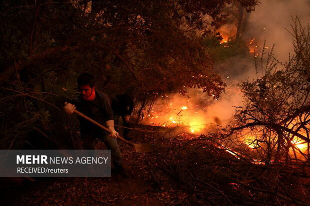 آتش‌سوزی‌ در جنگل‌های جنوب مرکزی شیلی، به صدها خانه آسیب زد و زیستگاه حیوانات جنگلی را نابود کرد