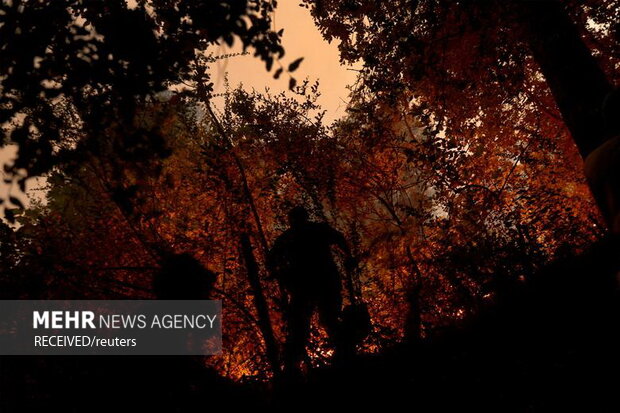 آتش‌سوزی‌ در جنگل‌های جنوب مرکزی شیلی، به صدها خانه آسیب زد و زیستگاه حیوانات جنگلی را نابود کرد