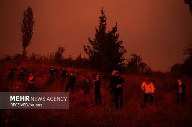 آتش‌سوزی‌ در جنگل‌های جنوب مرکزی شیلی، به صدها خانه آسیب زد و زیستگاه حیوانات جنگلی را نابود کرد