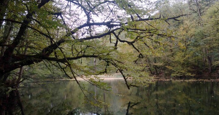 گردشگری نوشهر قندیل بست!/ شهر دریاچه ها و آبشارها در حصار